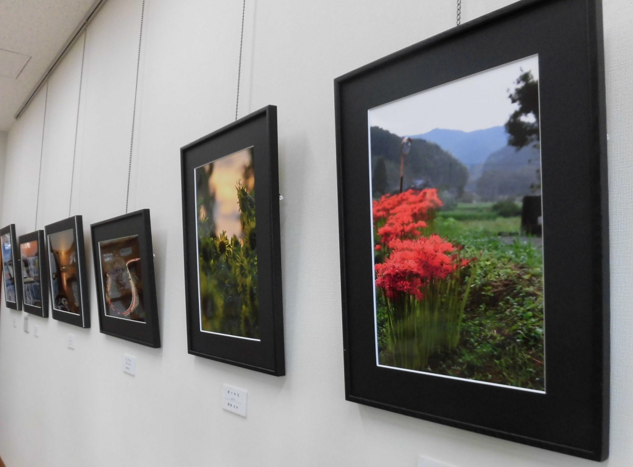 【豊野分館】豊野フォトクラブ作品展　『秋冬』