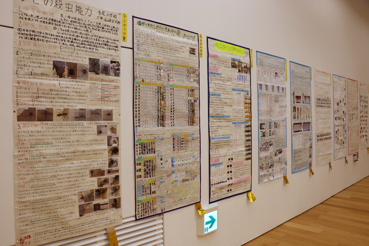 宇城地区科学研究物展示会